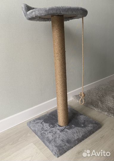 Когтеточка для кошек