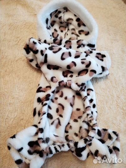 Одежда для маленьких собак