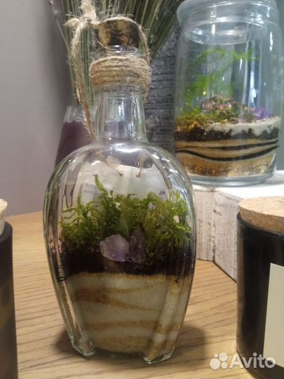 Флорариумы с живыми растениями. В наличии