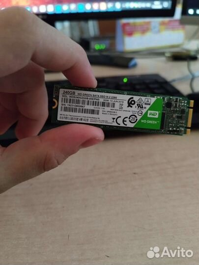 Ssd m2 wd green