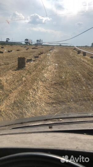 Сено солома в тюках