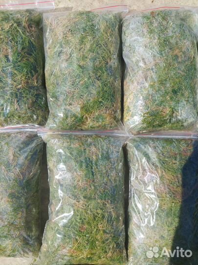 Мох для улиток