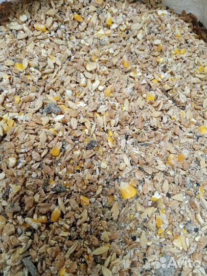 С/Х Корма С доставкой