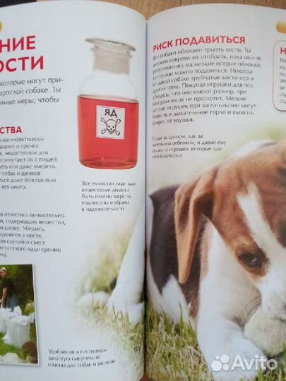 Энциклопедия