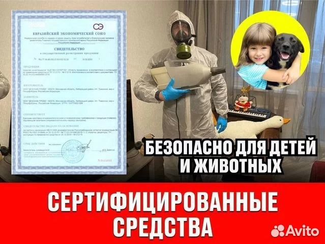 Уничтожение тараканов, клопов, клещей, муравьев