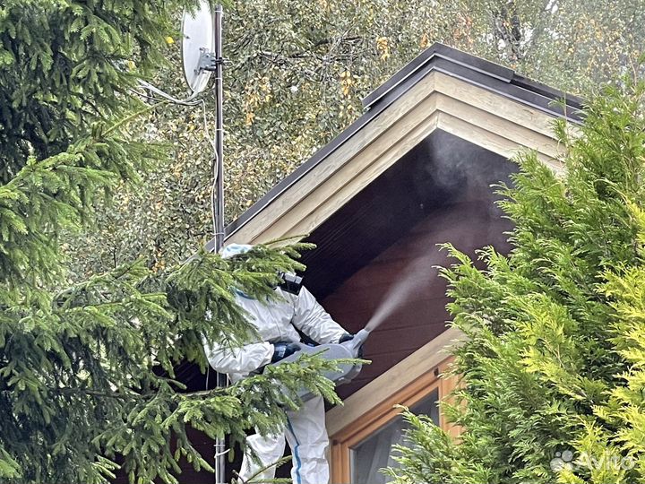 Уничтожение клопов, тараканов, крыс