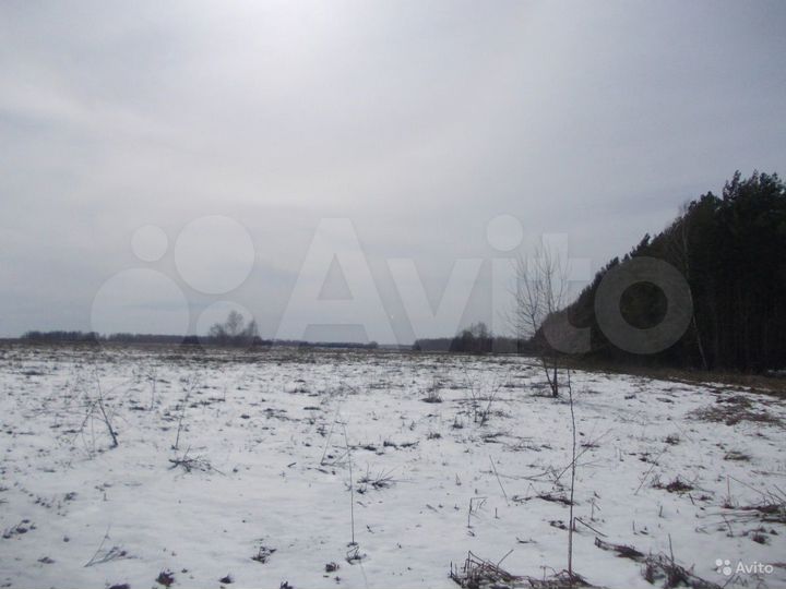 Участок 8,2 га (СНТ, ДНП)