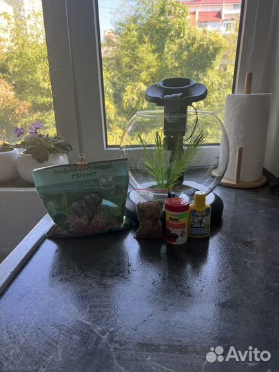 Аквариум tetra