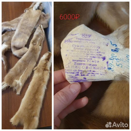 Шкурка чулок норка