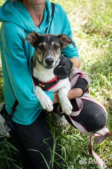 Майкл 8 месяцев мечтает о доме