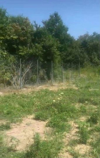 Участок 10 сот. (СНТ, ДНП)