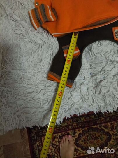 Боди для маленькой собачки