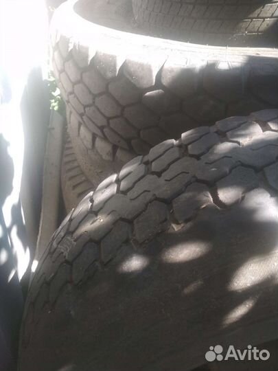 Accelera 651 23.1/8 R6