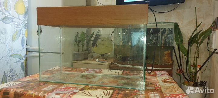Аквариум