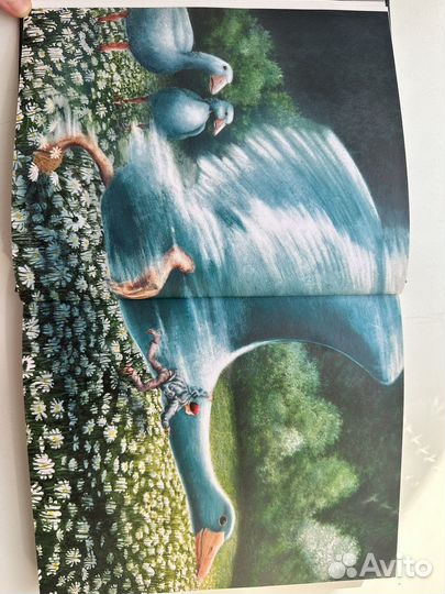 Чудесное путешествие Нильса с дикими гусями