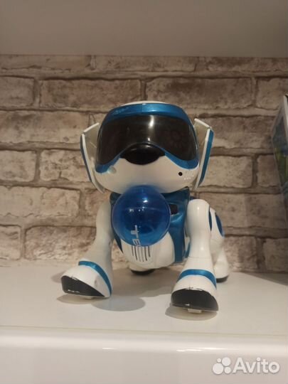 Робо - пёс Teksta