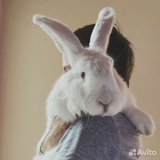 Тренинг продаж (Только телефонные переговоры)