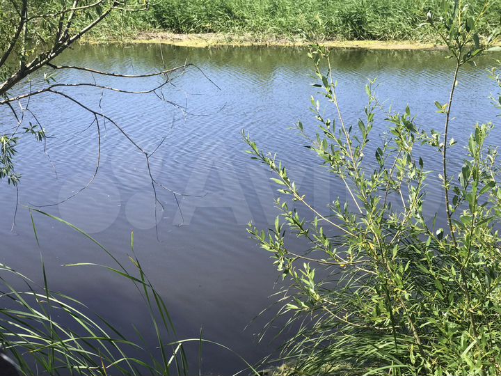 Участок 65 сот. (ИЖС)