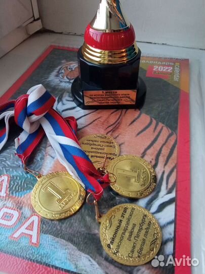 Тренер преподаватель учитель по шахматам