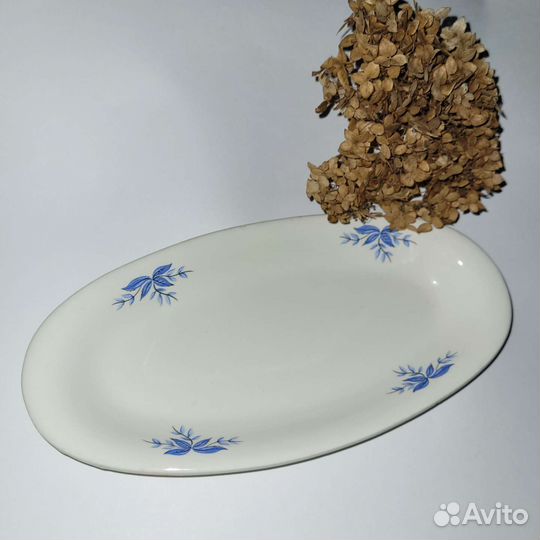 Тарелки Буди. Селедочница зик. Тарелки винтаж