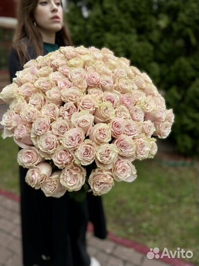 Роза Эквадор букет 101 роза