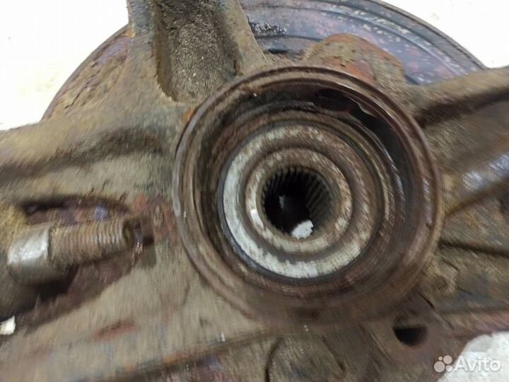 Кулак задний левый