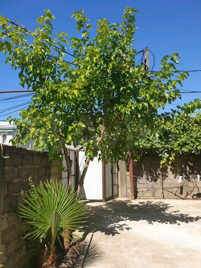 Дом 100 м² на участке 4 сот.