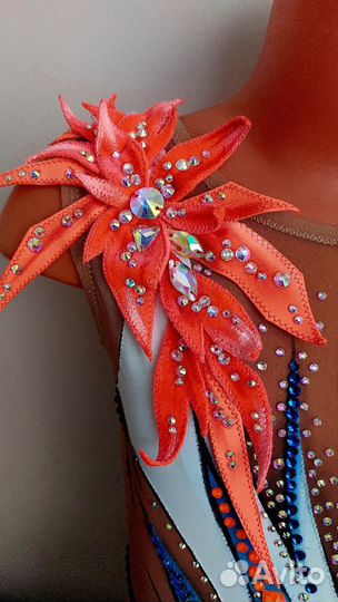 Купальник для выступлений 110