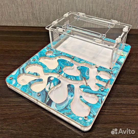 Муравьиная ферма. Муравьи