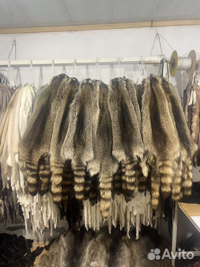 Шкуры енота