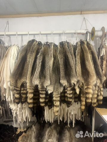 Шкуры енота