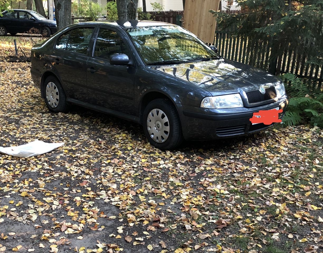 Skoda Octavia: фото владельца