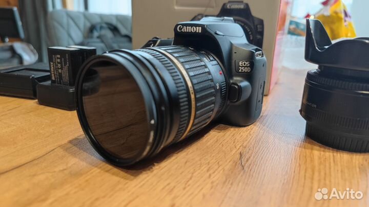Canon 250d + 2 светосильных объектива