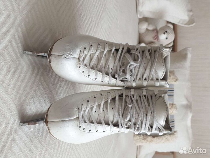 Коньки Edea chorus 220