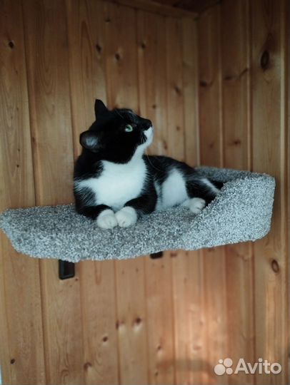 Лежанка для кошек Моя Котя, настенная с бортиком