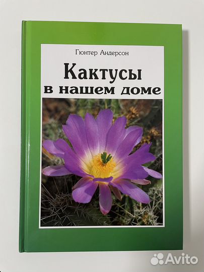 Кактусы в нашем доме