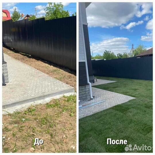 Рулонный газон, укладка, продажа