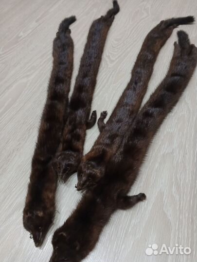 Продам шкурки норки