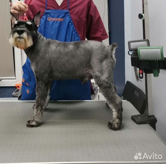Стрижка животных