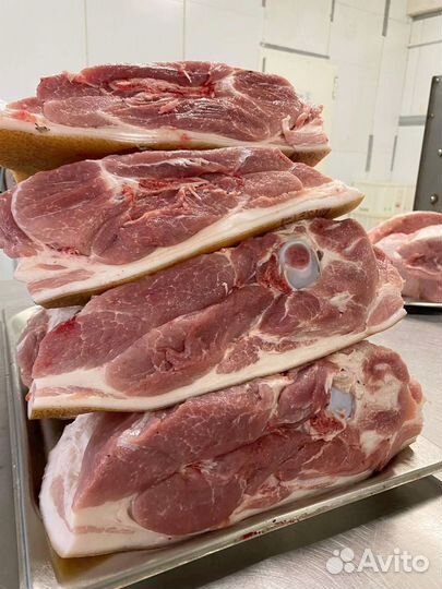 Мясо свинина