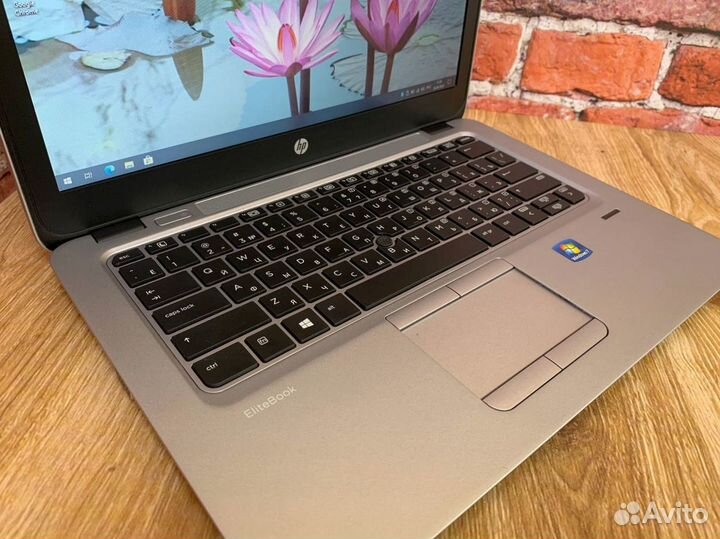 Ноутбук HP EliteBook 725 AMD A8 SSD для работы