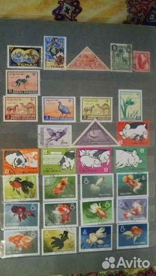 Марки Фауна Зарубежные 1901-1973г