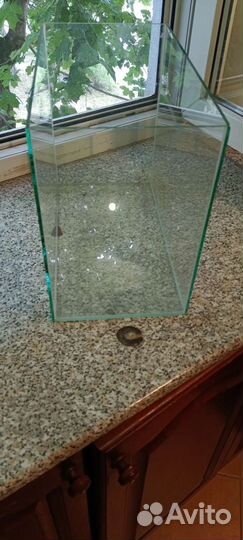 Аквариумные рыбки