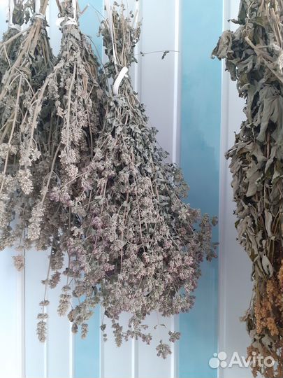 Куры суповые. Картофель. Заморозка. Травы