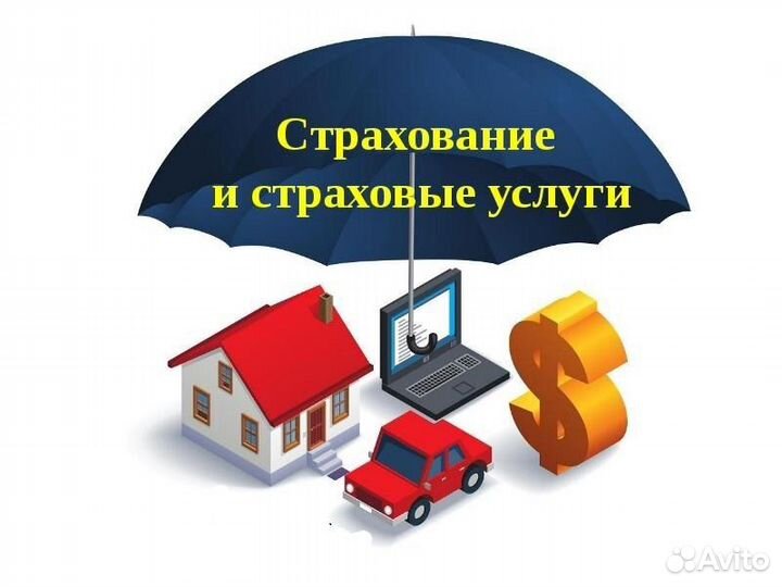 Страхование все виды