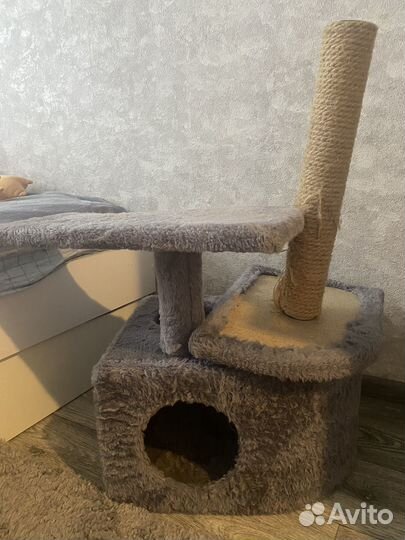 Домик для кошки с когтеточкой бу