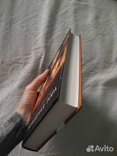 Книга Холодная гора