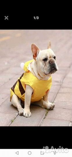 Дождевик для маленькой собаки