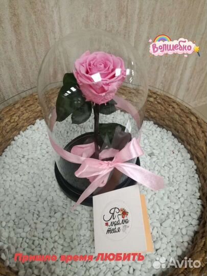 Розы в колбе, цветы в вакууме,подарок к выпускному
