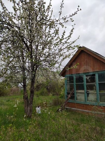 Участок 4,1 сот. (СНТ, ДНП)